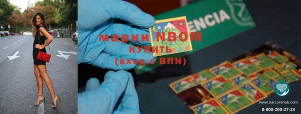 PSILOCYBIN Елизово