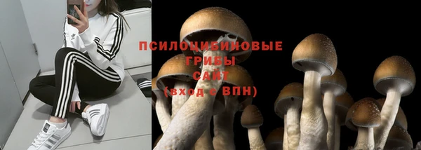 ALPHA PVP Елабуга