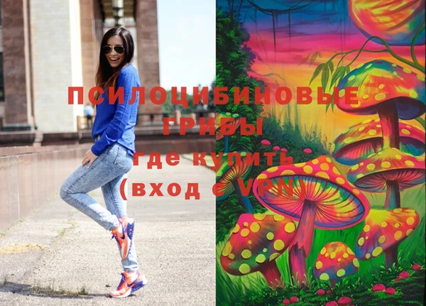 PSILOCYBIN Елизово