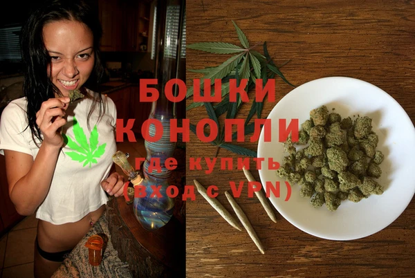 PSILOCYBIN Елизово