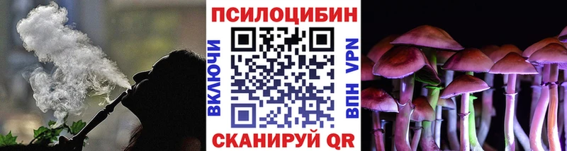 Купить закладки  Баксан  Галлюциногенные грибы мухоморы 