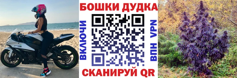 Шишки марихуана Bruce Banner  Купить где  Баксан 